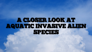 A CLOSER LOOK AT AQUATIC INVASIVE ALIEN SPECIES