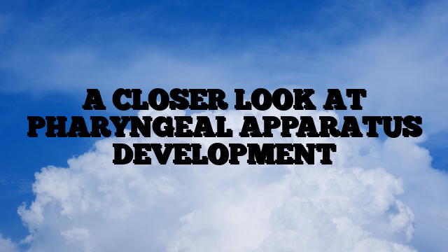 A CLOSER LOOK AT PHARYNGEAL APPARATUS DEVELOPMENT