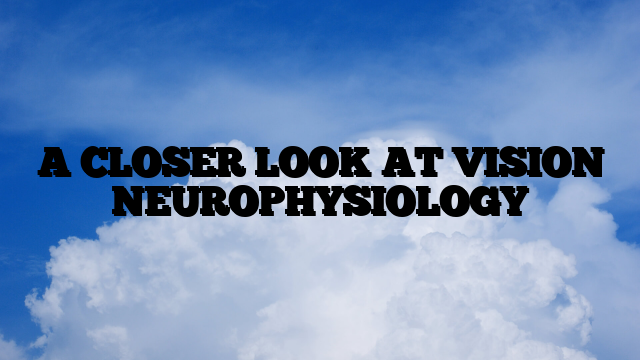 A CLOSER LOOK AT VISION NEUROPHYSIOLOGY