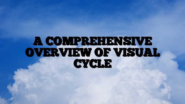 A COMPREHENSIVE OVERVIEW OF VISUAL CYCLE