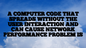 A COMPUTER CODE THAT SPREADS WITHOUT THE USER INTERACTION AND CAN CAUSE NETWORK PERFORMANCE PROBLEM IS