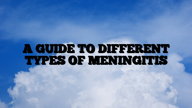 A GUIDE TO DIFFERENT TYPES OF MENINGITIS