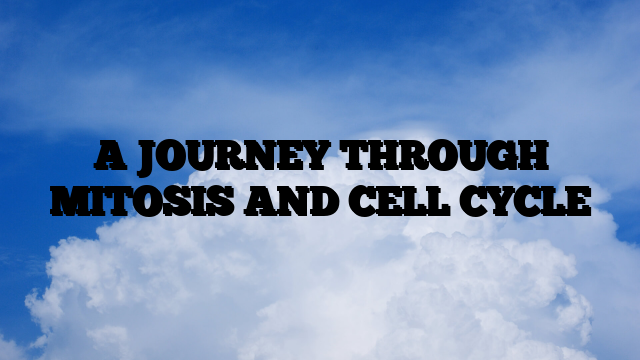 A JOURNEY THROUGH MITOSIS AND CELL CYCLE