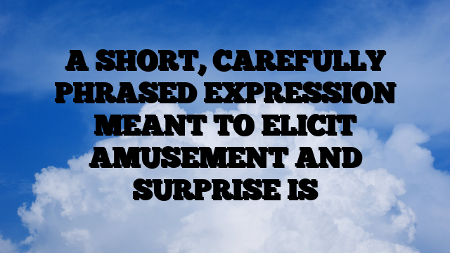 A SHORT, CAREFULLY PHRASED EXPRESSION MEANT TO ELICIT AMUSEMENT AND SURPRISE IS