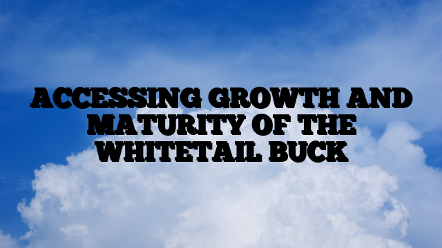 ACCESSING GROWTH AND MATURITY OF THE WHITETAIL BUCK