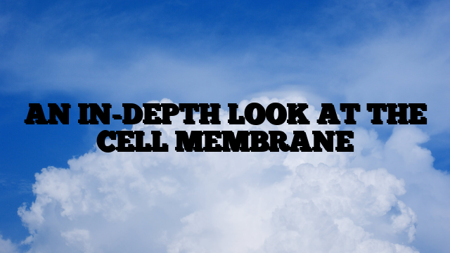 AN IN-DEPTH LOOK AT THE CELL MEMBRANE