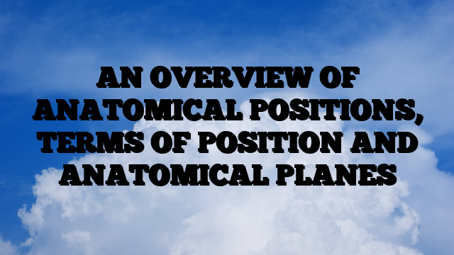 AN OVERVIEW OF ANATOMICAL POSITIONS, TERMS OF POSITION AND ANATOMICAL PLANES