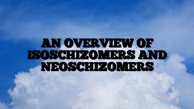 AN OVERVIEW OF ISOSCHIZOMERS AND NEOSCHIZOMERS