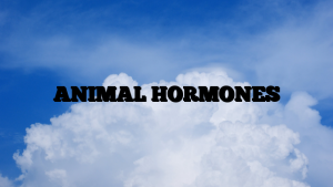 ANIMAL HORMONES