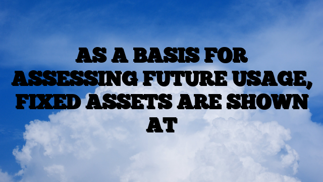 AS A BASIS FOR ASSESSING FUTURE USAGE, FIXED ASSETS ARE SHOWN AT