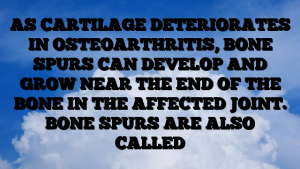 AS CARTILAGE DETERIORATES IN OSTEOARTHRITIS, BONE SPURS CAN DEVELOP AND GROW NEAR THE END OF THE BONE IN THE AFFECTED JOINT. BONE SPURS ARE ALSO CALLED