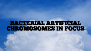 BACTERIAL ARTIFICIAL CHROMOSOMES IN FOCUS