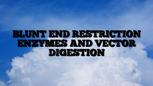 BLUNT END RESTRICTION ENZYMES AND VECTOR DIGESTION