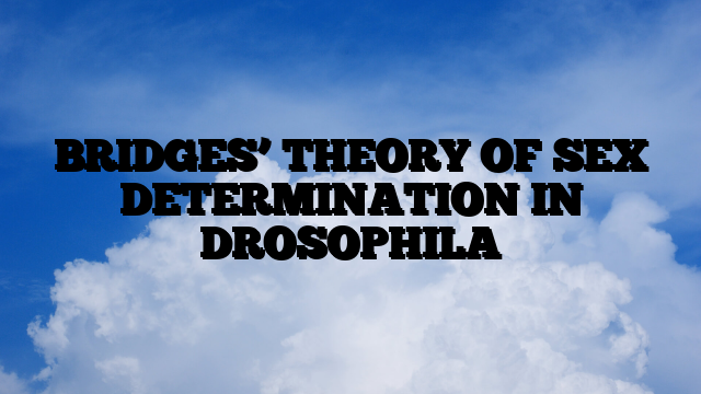 BRIDGES’ THEORY OF SEX DETERMINATION IN DROSOPHILA