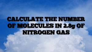 CALCULATE THE NUMBER OF MOLECULES IN 2.8g OF NITROGEN GAS