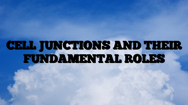 CELL JUNCTIONS AND THEIR FUNDAMENTAL ROLES