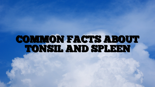 COMMON FACTS ABOUT TONSIL AND SPLEEN