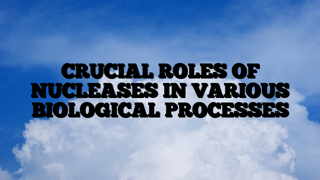 CRUCIAL ROLES OF NUCLEASES IN VARIOUS BIOLOGICAL PROCESSES