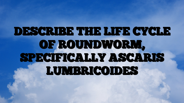 DESCRIBE THE LIFE CYCLE OF ROUNDWORM, SPECIFICALLY ASCARIS LUMBRICOIDES