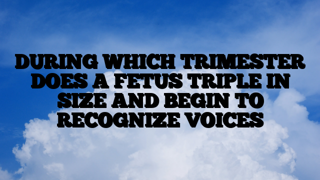 DURING WHICH TRIMESTER DOES A FETUS TRIPLE IN SIZE AND BEGIN TO RECOGNIZE VOICES