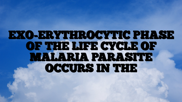 EXO-ERYTHROCYTIC PHASE OF THE LIFE CYCLE OF MALARIA PARASITE OCCURS IN THE