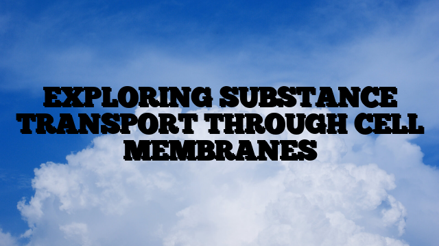 EXPLORING SUBSTANCE TRANSPORT THROUGH CELL MEMBRANES