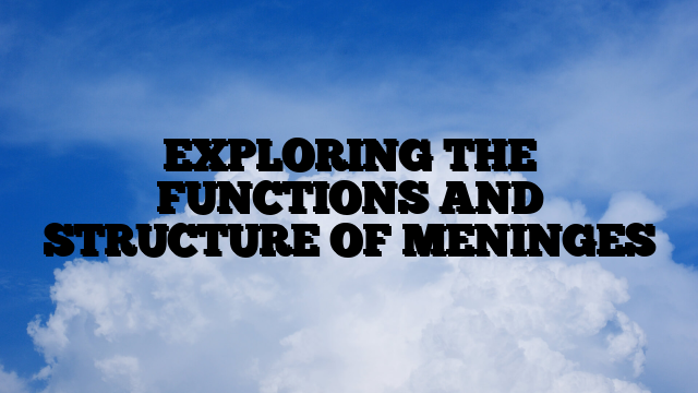 EXPLORING THE FUNCTIONS AND STRUCTURE OF MENINGES