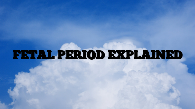 FETAL PERIOD EXPLAINED