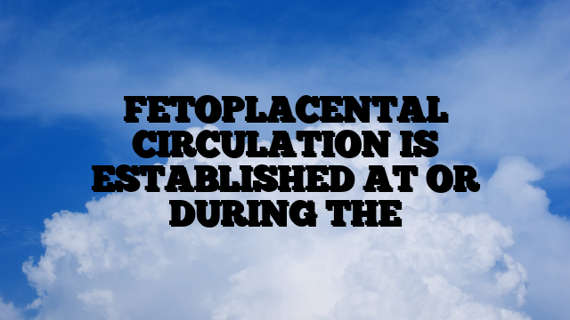 FETOPLACENTAL CIRCULATION IS ESTABLISHED AT OR DURING THE