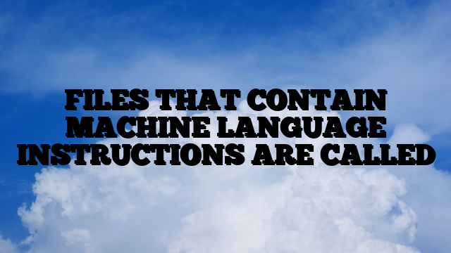 FILES THAT CONTAIN MACHINE LANGUAGE INSTRUCTIONS ARE CALLED