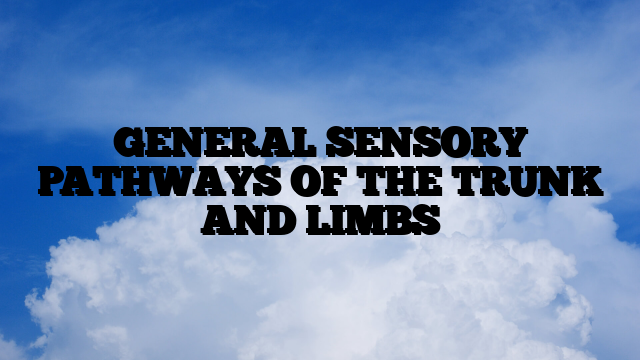 GENERAL SENSORY PATHWAYS OF THE TRUNK AND LIMBS