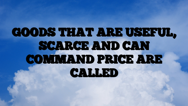 GOODS THAT ARE USEFUL, SCARCE AND CAN COMMAND PRICE ARE CALLED