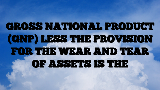 GROSS NATIONAL PRODUCT (GNP) LESS THE PROVISION FOR THE WEAR AND TEAR OF ASSETS IS THE