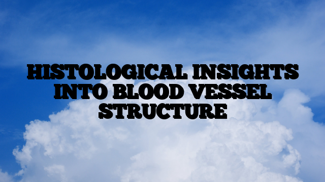 HISTOLOGICAL INSIGHTS INTO BLOOD VESSEL STRUCTURE