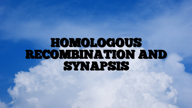 HOMOLOGOUS RECOMBINATION AND SYNAPSIS