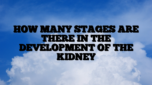 HOW MANY STAGES ARE THERE IN THE DEVELOPMENT OF THE KIDNEY