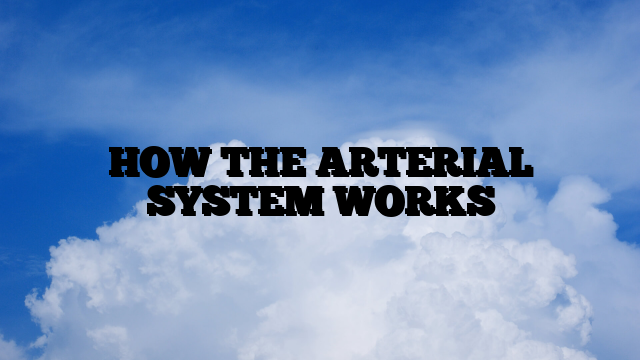 HOW THE ARTERIAL SYSTEM WORKS