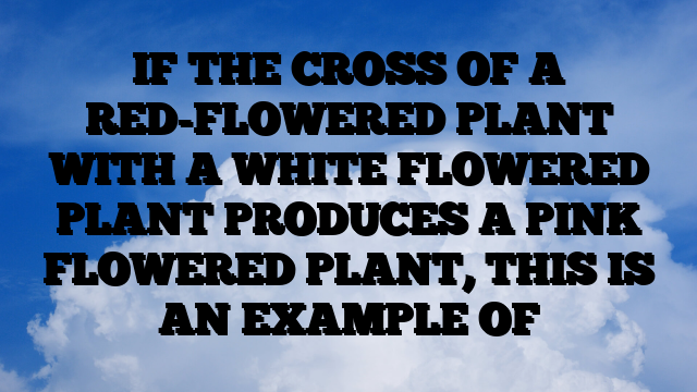 IF THE CROSS OF A RED-FLOWERED PLANT WITH A WHITE FLOWERED PLANT PRODUCES A PINK FLOWERED PLANT, THIS IS AN EXAMPLE OF