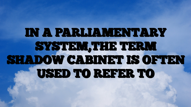 IN A PARLIAMENTARY SYSTEM,THE TERM SHADOW CABINET IS OFTEN USED TO REFER TO