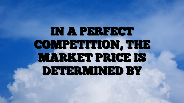 IN A PERFECT COMPETITION, THE MARKET PRICE IS DETERMINED BY