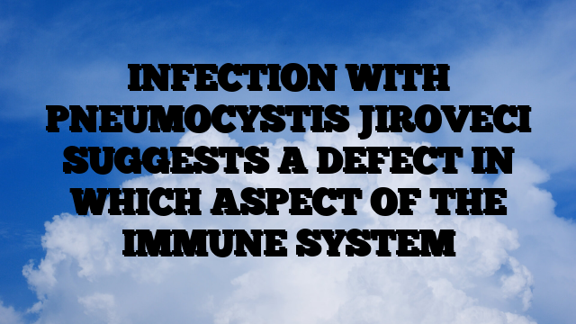 INFECTION WITH PNEUMOCYSTIS JIROVECI SUGGESTS A DEFECT IN WHICH ASPECT OF THE IMMUNE SYSTEM