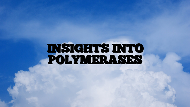 INSIGHTS INTO POLYMERASES