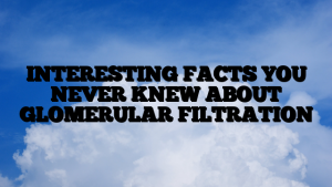 INTERESTING FACTS YOU NEVER KNEW ABOUT GLOMERULAR FILTRATION