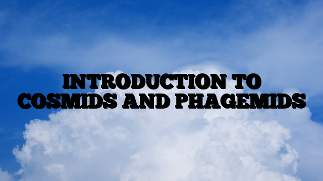 INTRODUCTION TO COSMIDS AND PHAGEMIDS