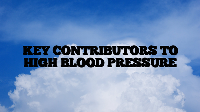 KEY CONTRIBUTORS TO HIGH BLOOD PRESSURE