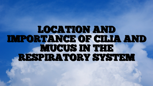 LOCATION AND IMPORTANCE OF CILIA AND MUCUS IN THE RESPIRATORY SYSTEM