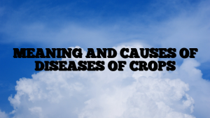 MEANING AND CAUSES OF DISEASES OF CROPS