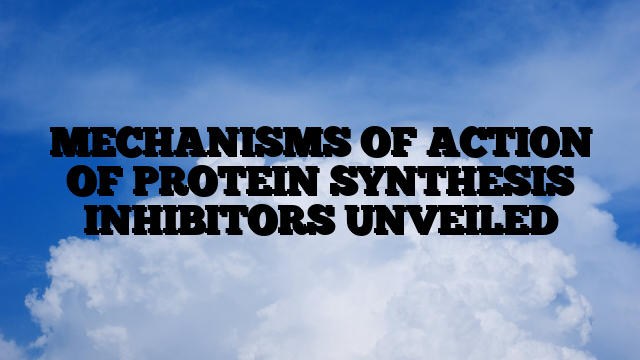 MECHANISMS OF ACTION OF PROTEIN SYNTHESIS INHIBITORS UNVEILED