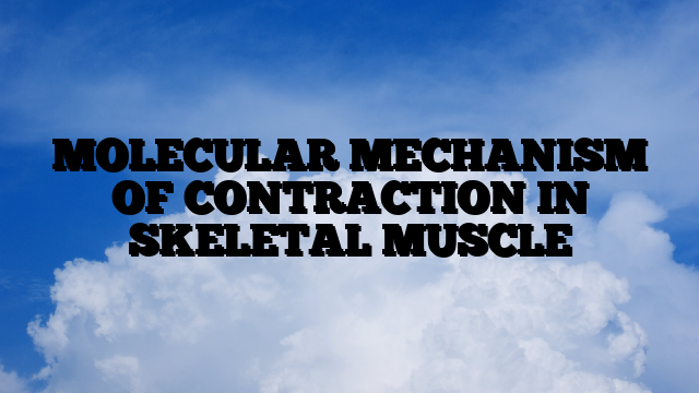 MOLECULAR MECHANISM OF CONTRACTION IN SKELETAL MUSCLE