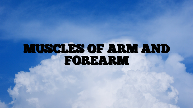 MUSCLES OF ARM AND FOREARM